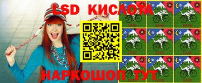 прущие грибы Кингисепп
