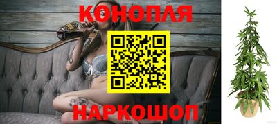 стаф Кимры