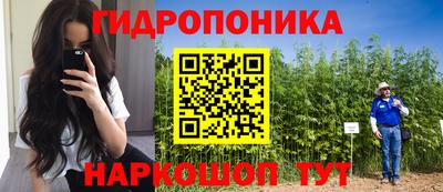 стаф Кимры