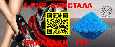 прущие грибы Кингисепп