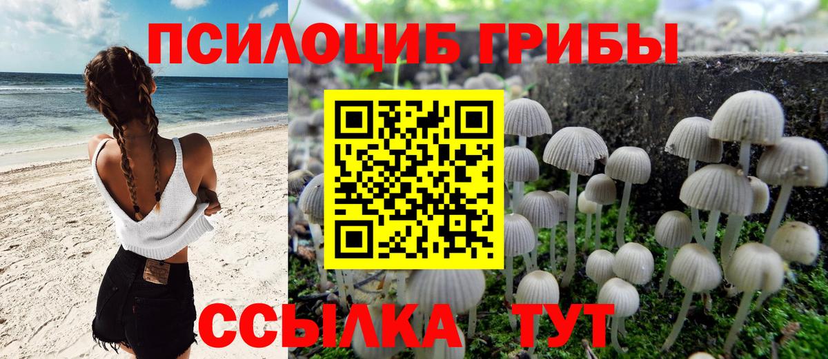 Красный Сулин  Галлюциногенные грибы мицелий  Вход с VPN 